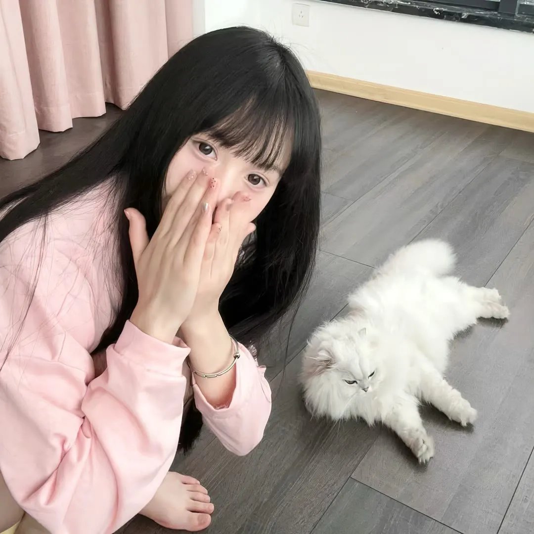 加菲猫和他的朋友们第七季