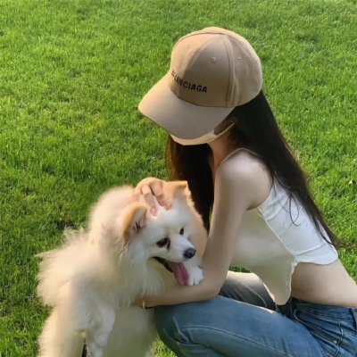 文豪野犬第三季
