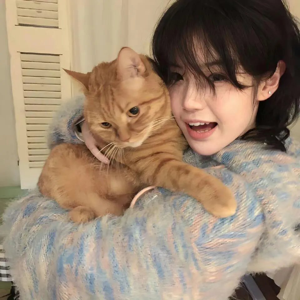 狗咬狗